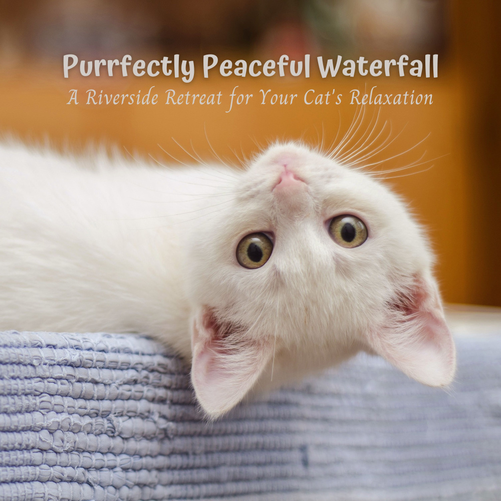 Nature's Oasis for Your Cat's Relaxation