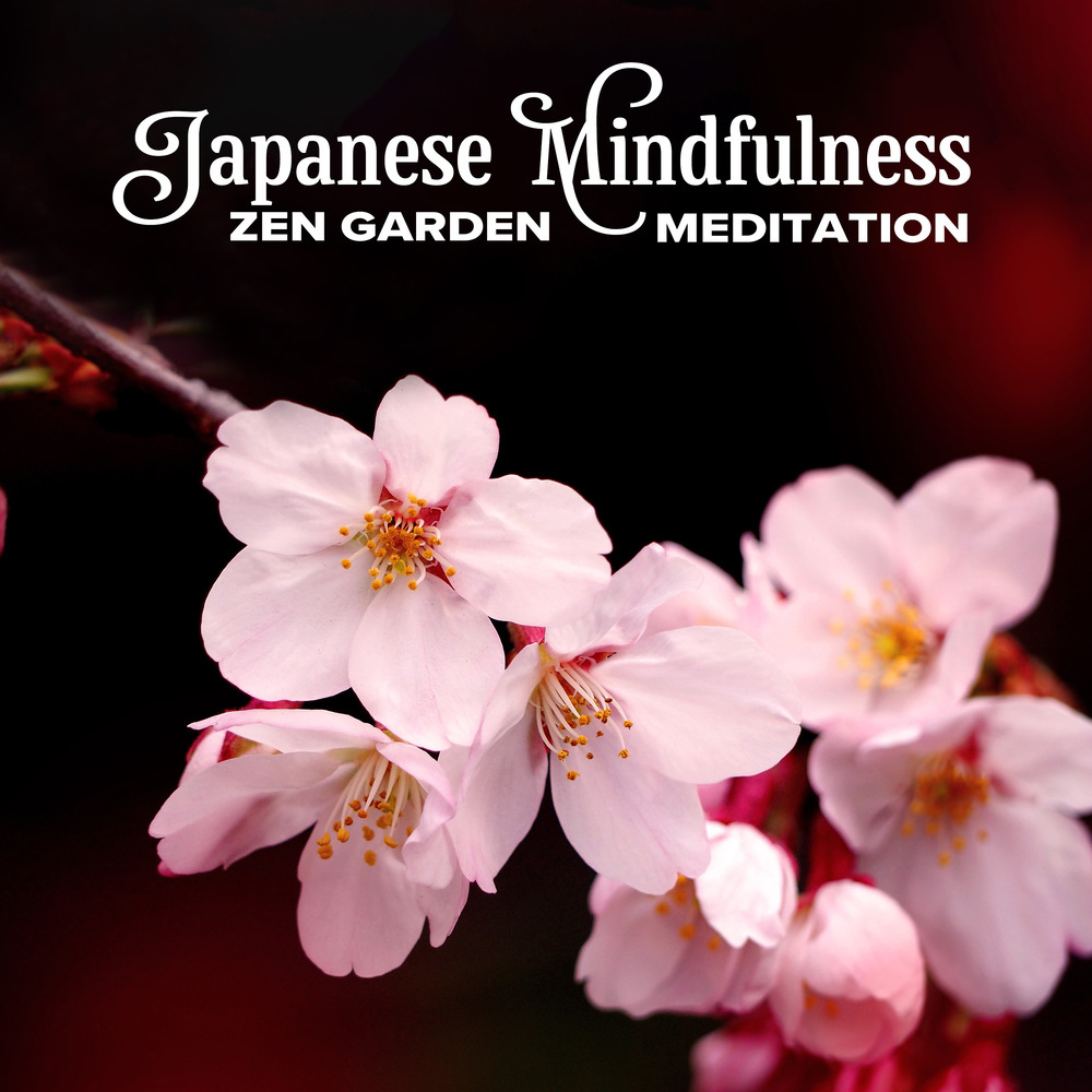 Meditation Time