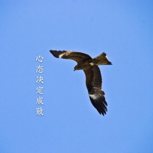收聽謝克鬧的千山萬水都相隨歌詞歌曲