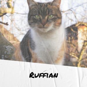 Album Ruffian oleh Various