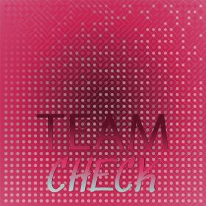 Various Artists的專輯Team Check