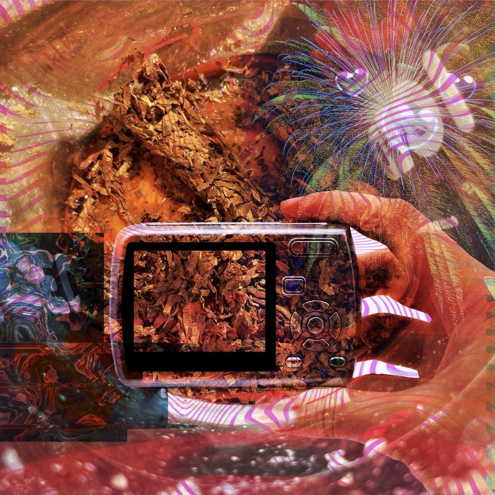 Tobacco & Oranges (Explicit)