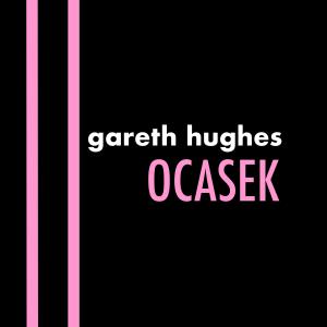 收聽Gareth Hughes的Ocasek歌詞歌曲