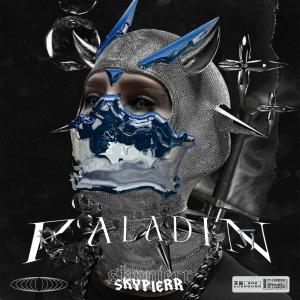Album PALADIN from Skypierr