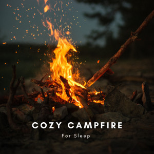 Natural Sounds Selections的專輯Cozy Campfire For Sleep