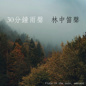 瑜珈精選音樂的專輯三十分鐘雨聲：林中笛聲、環境音、中國風、心靜音樂、打坐BGM