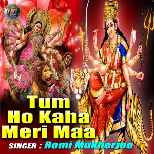 收听Romi Mukherjee的Tum Ho Kahan Meri Maa歌词歌曲