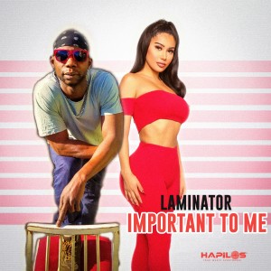 收聽Laminator的Important to Me歌詞歌曲