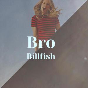 Various Artists的專輯Bro Billfish