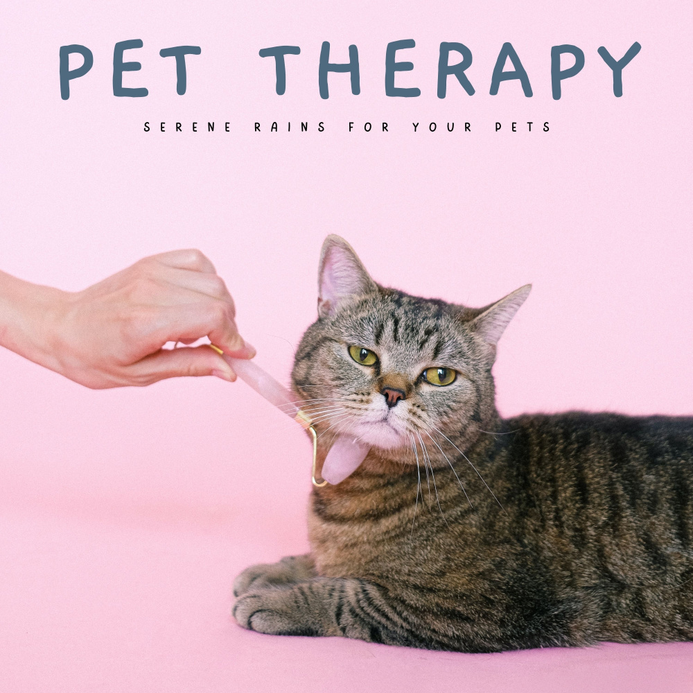 Music For Sleepy Pets