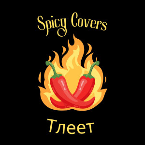 อัลบัม Тлеет (Instrumental) ศิลปิน Spicy Covers
