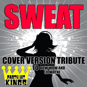 Party Hit Kings的專輯Sweat (Cover Version Tribute to Bow Wow & Lil Wayne)