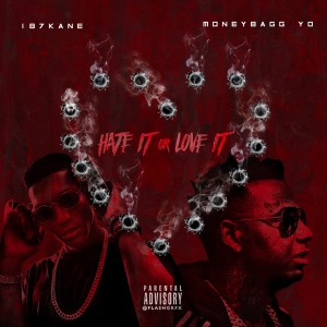 ดาวน์โหลดและฟังเพลง Hate It or Love It (Explicit) พร้อมเนื้อเพลงจาก 187 Kane