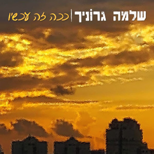 Album ככה זה עכשיו from 