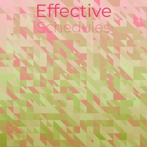 Various的专辑Effective Schedules