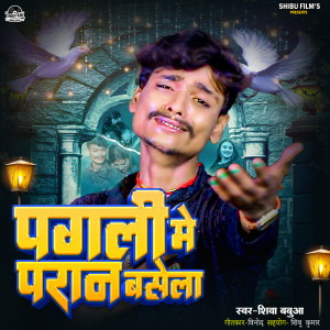 Listen to Pagli Me Paran Basela song with lyrics from Shiva Babua