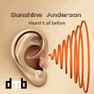 Sunshine Anderson的專輯Heard it all before (feat. d m b)