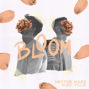 Bloom dari Hektor Mass