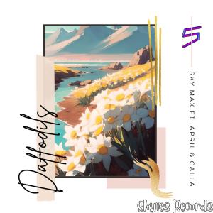 Daffodils (Explicit) dari Sky Max