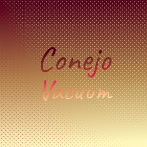 Various Artists的專輯Conejo Vacuum