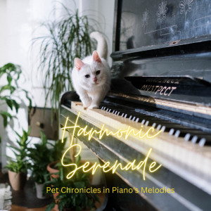 Album Harmonic Serenade: Pet Chronicles in Piano's Melodies from Amazing Jazz Piano Background