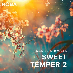 ดาวน์โหลดและฟังเพลง Rays พร้อมเนื้อเพลงจาก Daniel Stryczek