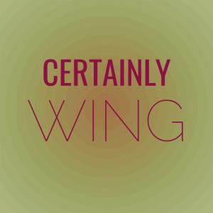Listen to Owning Against song with lyrics from Budo Pien