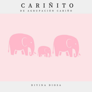 Album Divina Diosa (Cariñito Versión) from Agrupaciòn Cariño