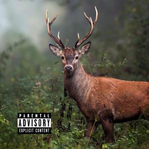 Listen to Sauce That I Created (Changes) (Explicit) song with lyrics from Bka Trip
