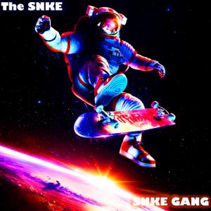 Album SNKE Gang (Explicit) from 