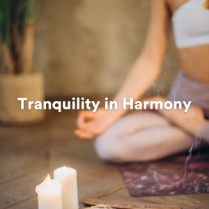 อัลบัม Tranquility in Harmony ศิลปิน Radio Zen Music