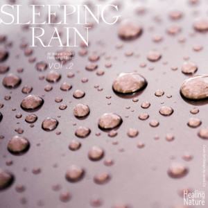 Listen to Wonderful Natural Rain for Perfect Sleep 9 song with lyrics from 힐링 네이쳐 Nature Sound Band