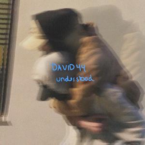 DAVID44的專輯Understood