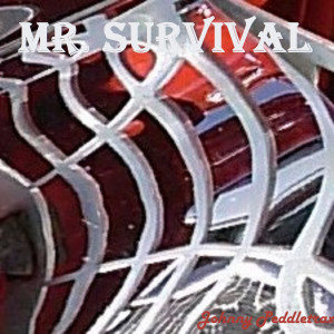 收聽Johnny Peddletrax的Mr. Survival歌詞歌曲