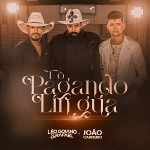 Album Tô Pagando Língua from 