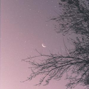 Dengarkan 我想 (Explicit) lagu dari Bryant Wrldd dengan lirik