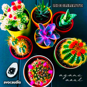 ROOMMATE的专辑Agave Azul