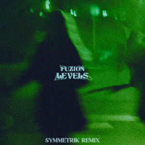 อัลบัม LEVELS (Symmetrik Remix) ศิลปิน Fuzion
