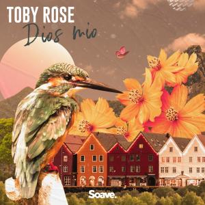Dengarkan lagu Dios Mio nyanyian Toby Rose dengan lirik