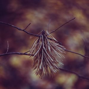 Listen to Sounds From Within song with lyrics from The White Noise Zen & Meditation Sound Lab