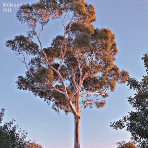 收聽lildiseer的Мтр歌詞歌曲