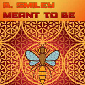 Listen to Meant To Be song with lyrics from B. Smiley