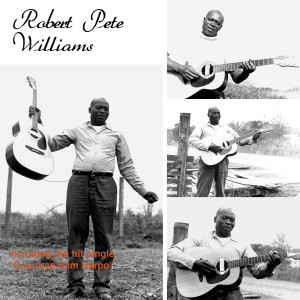 Robert Pete Williams的專輯Robert Pete Williams