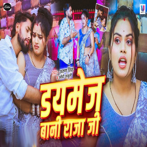 Album Damage Bani Raja Ji from Arun Singh