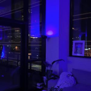 收聽Adizzle的slowmotion歌詞歌曲