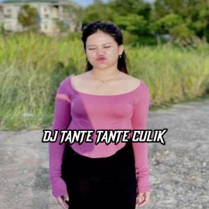 DJ TANTE TANTE CULIK AKU DONG