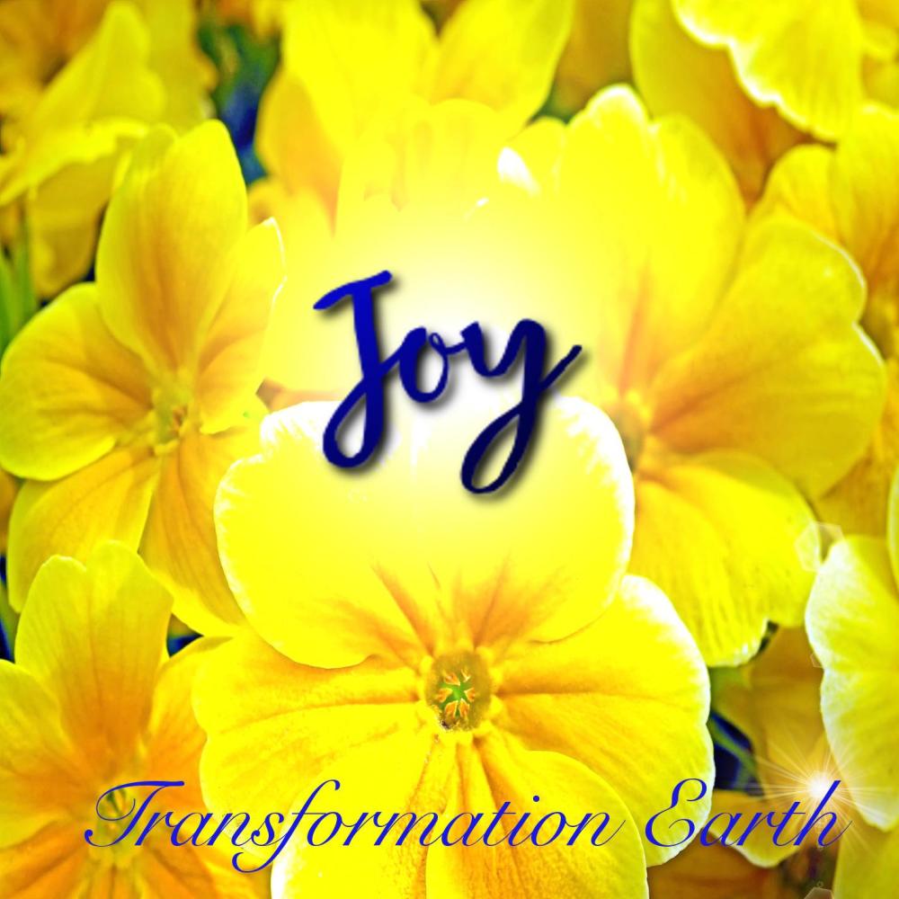 Joy (其他)