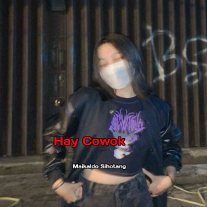 Listen to HAY COWOK song with lyrics from Maikaldo Sihotang