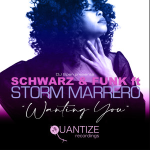 Album Wanting You oleh Schwarz & Funk