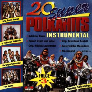 Listen to Südwind-Polka song with lyrics from Alpensound